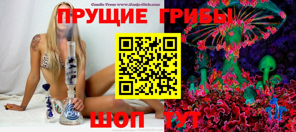 Фурманов  сколько стоит  Вход с VPN  Галлюциногенные грибы Cubensis 